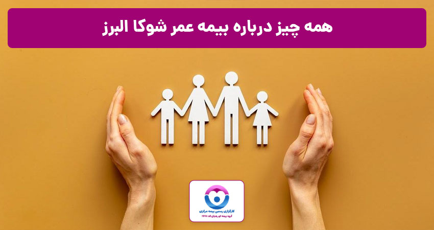همه چیز درباره طرح شوکا بیمه البرز
