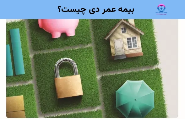بیمه عمر دی چیست